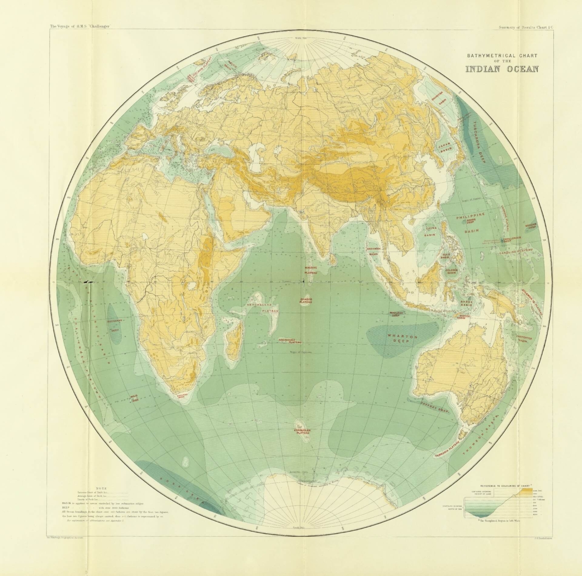 World map